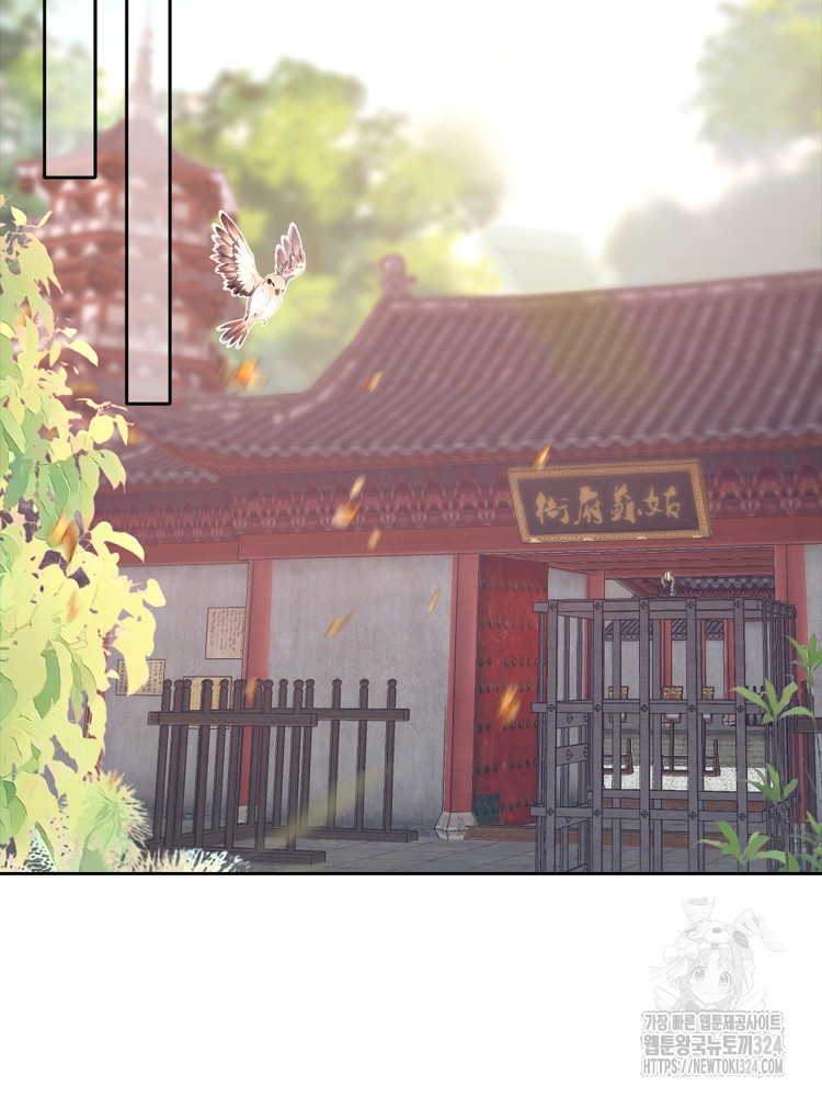 수보교낭 43화 12