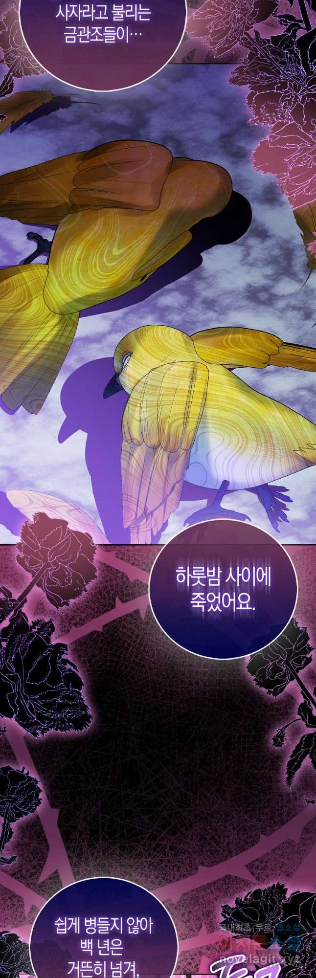 가짜 성녀인데 신들이 집착한다 69화 9