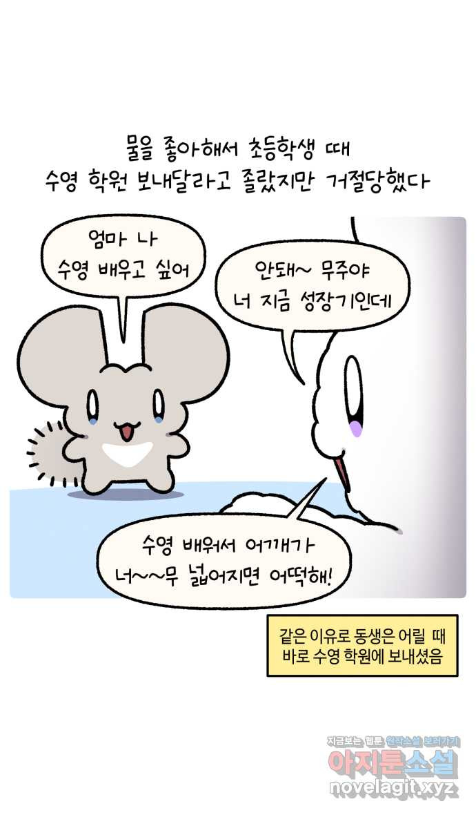 안녕, 나의 수집 122. 여행 기념품 (2) 3