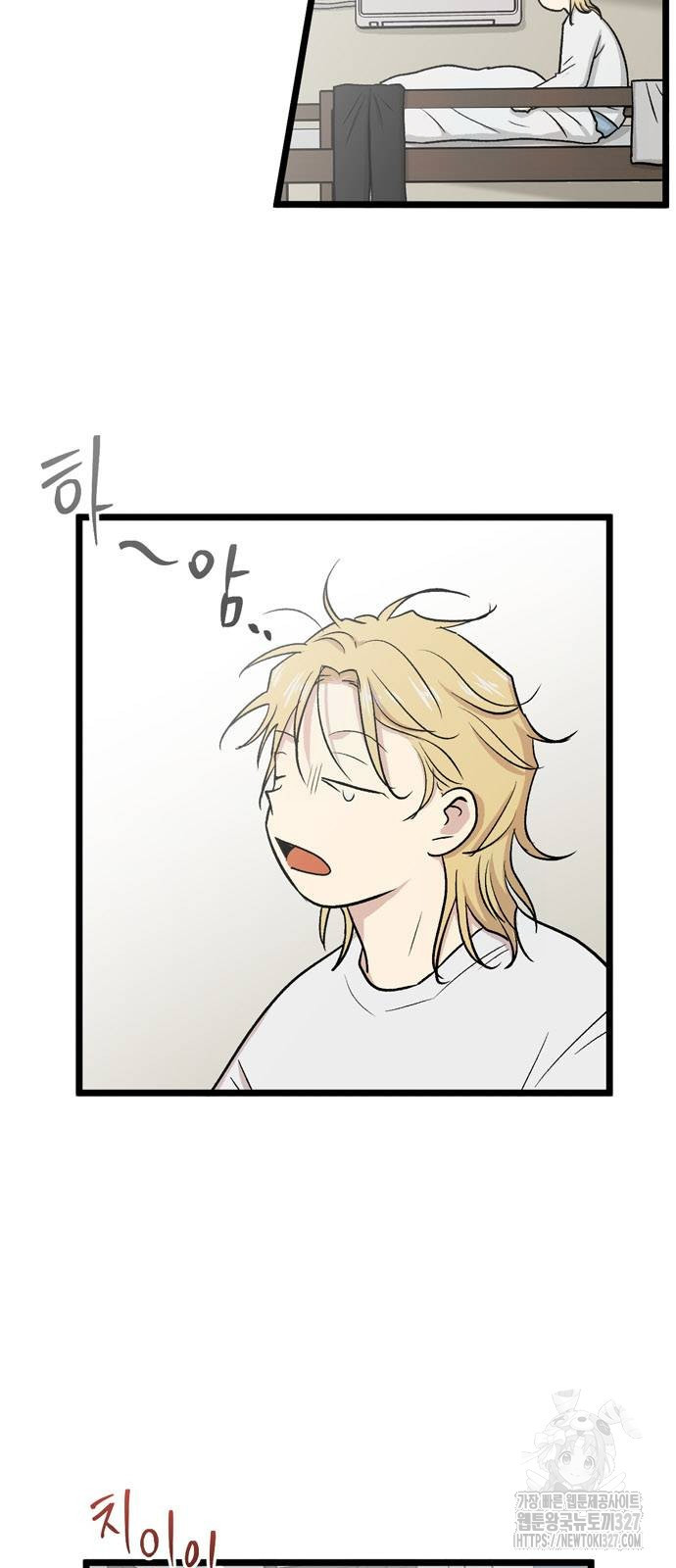 집이 없어 247화 2