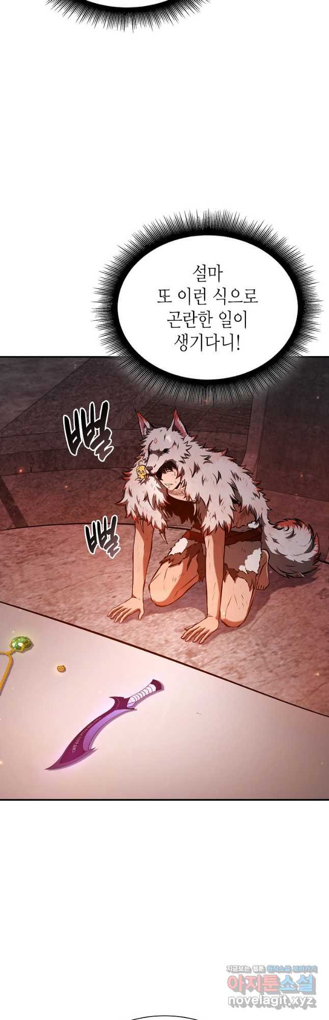 회귀했는데 FFF급 부두술사 67화 2